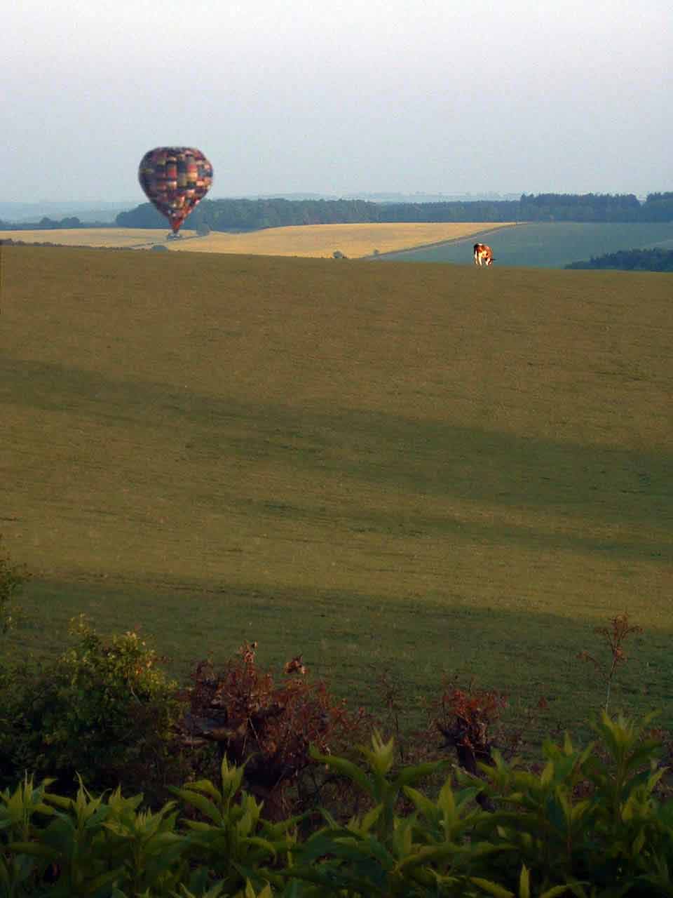 hot air balloon from rear garden
